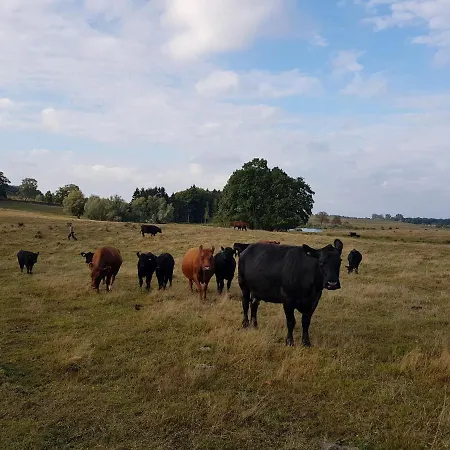 Vendégház Dylka Ranch *